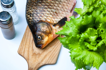 Big prussian carp ready to cookの写真素材