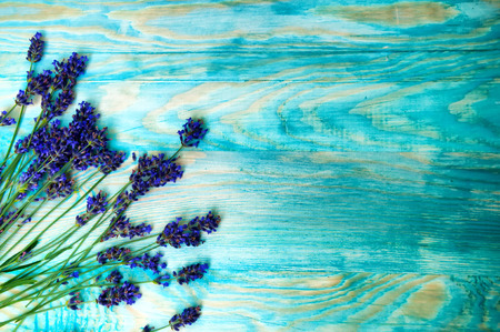Heather flowers frame on blue backgroundの写真素材