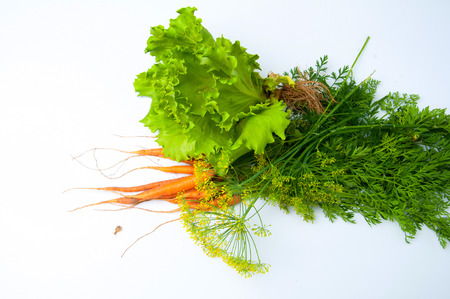 Carrots, salad and fennel on wooden tableの写真素材
