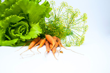 Carrots, salad and fennel on wooden tableの写真素材
