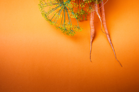 Carrots and fennel on orange backgroundの写真素材