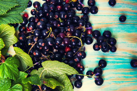 Black currant on blue wooden backgroundの写真素材
