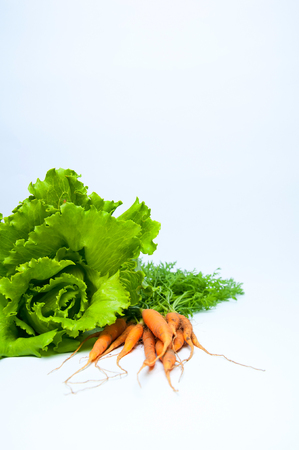 Carrots and salad on whiteの写真素材