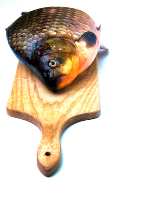Big prussian carp on cutting board isolated on whiteの写真素材