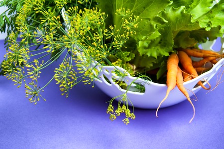 Carrots, salad and fennel on violet backgroundの写真素材