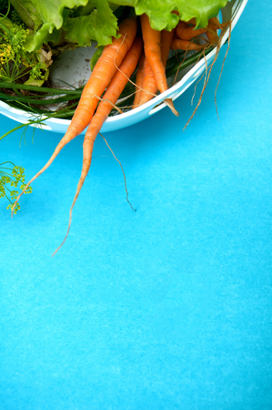 Carrots, salad and fennel on blue backgroundの写真素材