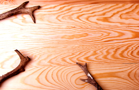 Antlers on wooden backgroundの写真素材