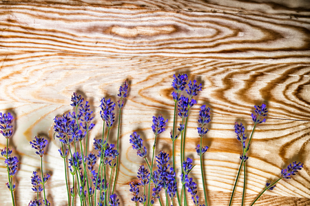 Heather flowers frame on wooden backgroundの写真素材