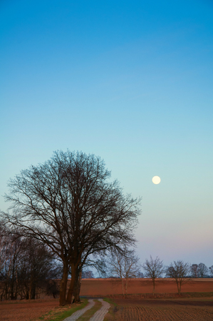 Early spring evening with moon on countryの写真素材