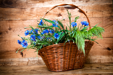 Cornflowers in basket on wooden backgroundの写真素材