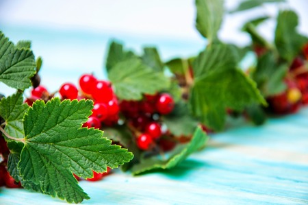 Fresh redcurrant with leaves on blue woodの写真素材