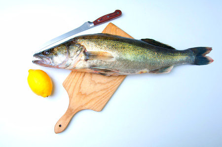 Zander ready to be cooked on white backgroundの写真素材