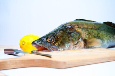 Zander ready to be cooked on white backgroundの写真素材