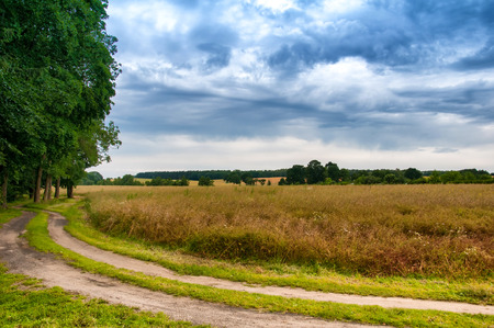 Rural road on sunny dayの写真素材