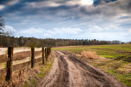 Sandy country road through the fields in autumnの写真素材