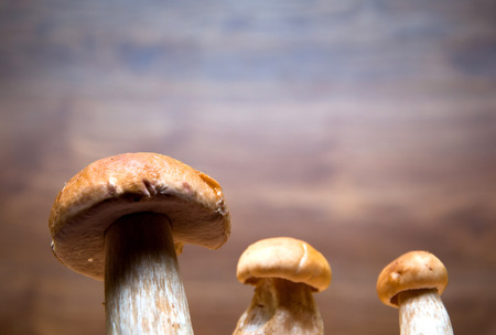 Mushrooms boletus on wooden table