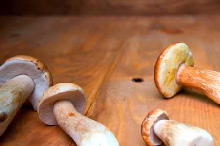 Mushrooms boletus on wooden tableの写真素材