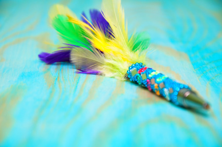 Decorative pen with colorful feathersの写真素材