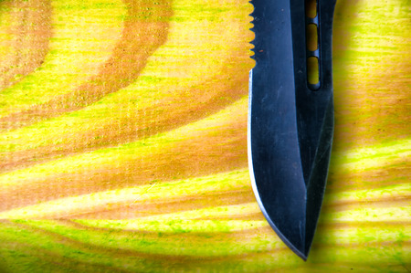Blede of pocket hunting knife on wooden table