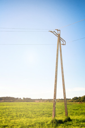 Telegraph pole on meadowの写真素材