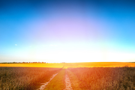 Sandy country road through the fields