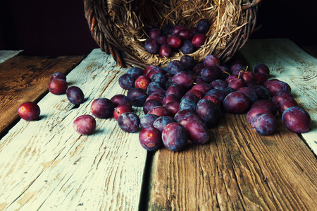 Purple plums falling out of the basket on white and brown tableの写真素材