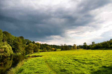 Green meadow in summerの写真素材