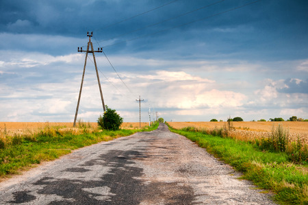 Broken asphatl road surrounded by wheat fieldの写真素材