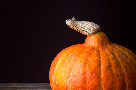 Pumpkin on black background. Copyspaceの写真素材