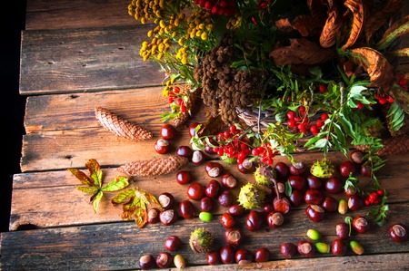 Withered leaves, autumn flowers and chestnuts in a wicker basketの写真素材