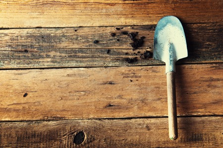 Gardening spade on wooden tableの写真素材