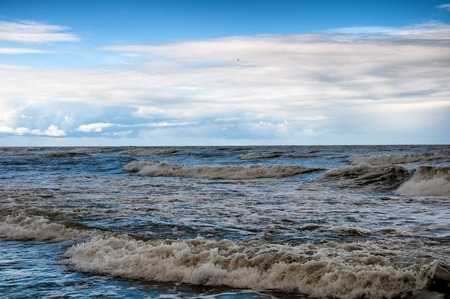 Coast of the Baltic Seaの写真素材