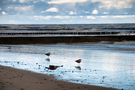 Coast of the Baltic Seaの写真素材