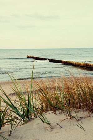 Coast of the Baltic Sea
