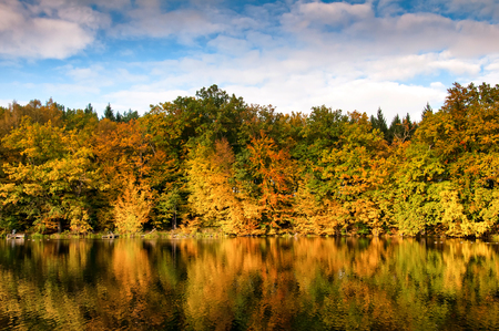 Beautiful forest and lake in autumnの写真素材