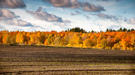 Beautiful autumn landscape in the countrysideの写真素材