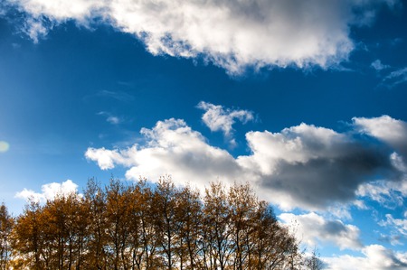 Colorful tree tops and blue cloudy sky. Autumn. Copyspaceの写真素材