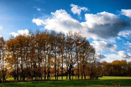 Beautiful autumn landscape in the countryside