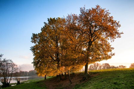 Rural landscape in autumnの写真素材