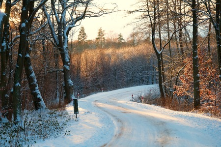 Country road covered with snow in winterの写真素材