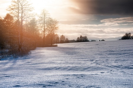 Winter landscape in the countryside