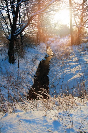 Small river in the winter