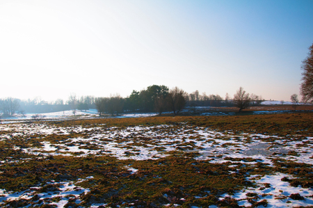 Winter pasture and rays of sunの写真素材