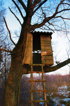 Pulpit for hunting in winter landscapeの写真素材