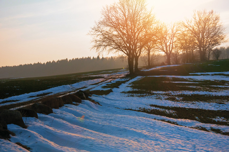 Snowy meadow on sunny dayの写真素材