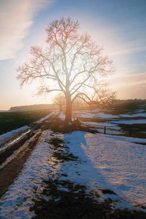 Snowy meadow on sunny day