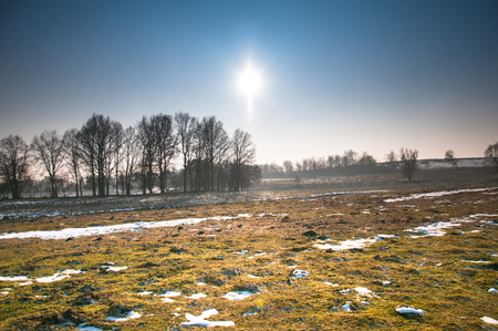 Snowy meadow on sunny dayの写真素材