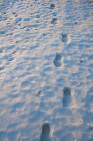 Human footprints path on snowの写真素材