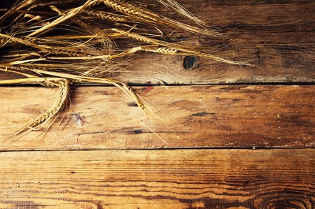 Wheat ears on wooden background, copyspaceの写真素材