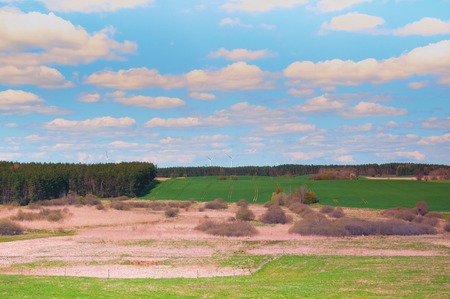 Field and meadow on country in summerの写真素材
